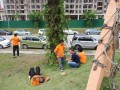 Tn DSC 6403